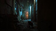 Stray (Xbox Series X/S, Windows 10) - Xbox Live Key - EUROPE