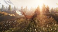 Subsistence Steam Gift EUROPE