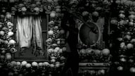 The Cat Lady Steam Key GLOBAL