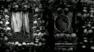The Cat Lady Steam Key GLOBAL