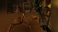 The Elder Scrolls III: Morrowind GOTY Edition GOG.COM GLOBAL