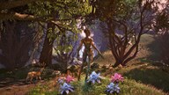 The Elder Scrolls IV: Oblivion Remastered (Xbox Series X/S, Windows 10) - Xbox Live Key - EUROPE