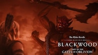 The Elder Scrolls Online Collection: Blackwood (PC) - TESO Key - GLOBAL