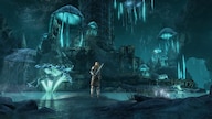 The Elder Scrolls Online - Greymoor Upgrade (PC) - TESO Key - GLOBAL