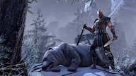 The Elder Scrolls Online | Standard Edition (PC) - Steam Key - GLOBAL