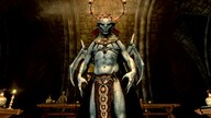The Elder Scrolls V: Skyrim Anniversary Edition (PC) - Steam Key - RU/CIS