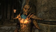 The Elder Scrolls V: Skyrim Anniversary Edition (PC) - Steam Key - RU/CIS
