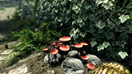 The Elder Scrolls V: Skyrim - Legendary Edition Steam Key ASIA