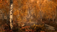 The Elder Scrolls V: Skyrim - Legendary Edition Steam Key EUROPE