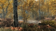 The Elder Scrolls V: Skyrim Special Edition (PC) - Steam Account - GLOBAL