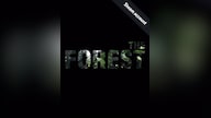 The Forest (PC) - Steam Account - GLOBAL
