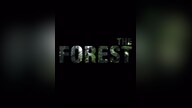 The Forest (PC) - Steam Gift - UNITED ARAB EMIRATES