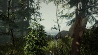 The Forest (PS4) - PSN Account - GLOBAL