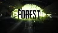 The Forest (PS4) - PSN Account - GLOBAL