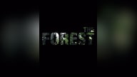 The Forest (PC) - Steam Key - GLOBAL