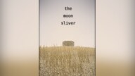 The Moon Sliver Steam Key GLOBAL