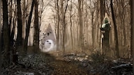 The Talos Principle 2 (PC) - Steam Key - GLOBAL