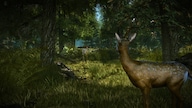 The Witcher 2: Assassins of Kings Enhanced Edition (PC) - GOG.COM Key - GLOBAL