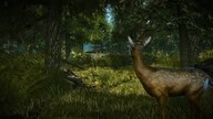 The Witcher 2 Assassins of Kings Enhanced Edition (PC) - Steam Gift - LATAM