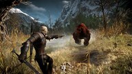 The Witcher 3: Wild Hunt Expansion Pass (PC) - GOG.COM Key - EUROPE