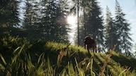 theHunter: Call of the Wild - Bloodhound (PC) - Steam Gift - GLOBAL