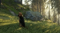 theHunter: Call of the Wild - Bloodhound (PC) - Steam Gift - GLOBAL