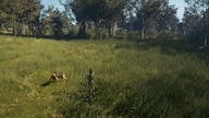 theHunter: Call of the Wild - Bloodhound (PC) - Steam Gift - GLOBAL
