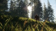 theHunter: Call of the Wild - Bloodhound (PC) - Steam Gift - JAPAN