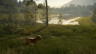 theHunter: Call of the Wild - Bloodhound (PC) - Steam Gift - JAPAN
