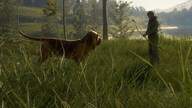 theHunter: Call of the Wild - Bloodhound (PC) - Steam Key - EUROPE