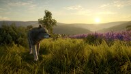 theHunter: Call of the Wild - Cuatro Colinas Game Reserve (PC) - Steam Key - GLOBAL