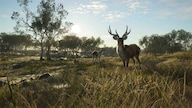 theHunter: Call of the Wild - Emerald Coast Australia (PC) - Steam Key - GLOBAL