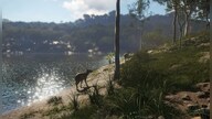 theHunter: Call of the Wild - Emerald Coast Australia (PC) - Steam Key - GLOBAL