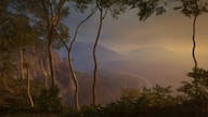 theHunter: Call of the Wild - Emerald Coast Australia (PC) - Steam Key - GLOBAL