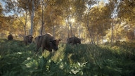theHunter: Call of the Wild (PC) - Steam Key - GLOBAL