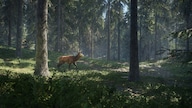 theHunter: Call of the Wild (PC) - Steam Key - GLOBAL