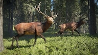 theHunter: Call of the Wild (PC) - Steam Key - GLOBAL