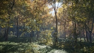 theHunter: Call of the Wild (PC) - Steam Key - GLOBAL