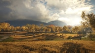 theHunter: Call of the Wild (PC) - Steam Key - GLOBAL