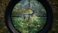theHunter: Call of the Wild - Tents & Ground Blinds (PC) - Steam Key - GLOBAL