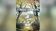 Timberborn (PC) - Steam Key - GLOBAL