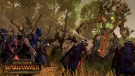 Total War: WARHAMMER - Realm of The Wood Elves Steam Gift EUROPE