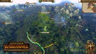 Total War: WARHAMMER - Realm of The Wood Elves Steam Gift EUROPE