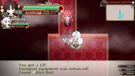Touhou Genso Wanderer: Foresight (PC) - Steam Account - GLOBAL