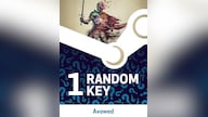 Try to Get Avowed - Random 1 Key (PC) - Steam Key - GLOBAL