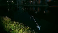 Ultimate Fishing Simulator 2 (PC) - Steam Key - GLOBAL