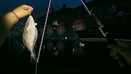 Ultimate Fishing Simulator 2 (PC) - Steam Key - GLOBAL