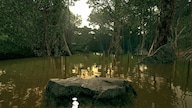 Ultimate Fishing Simulator - Amazon River (PC) - Steam Key - GLOBAL