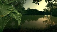 Ultimate Fishing Simulator - Amazon River (PC) - Steam Key - GLOBAL