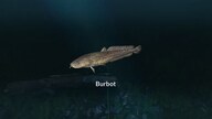 Ultimate Fishing Simulator - New Fish Species (PC) - Steam Key - GLOBAL